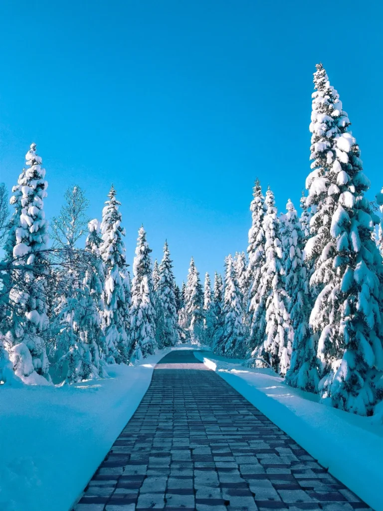 Heated walkway pavers in nature