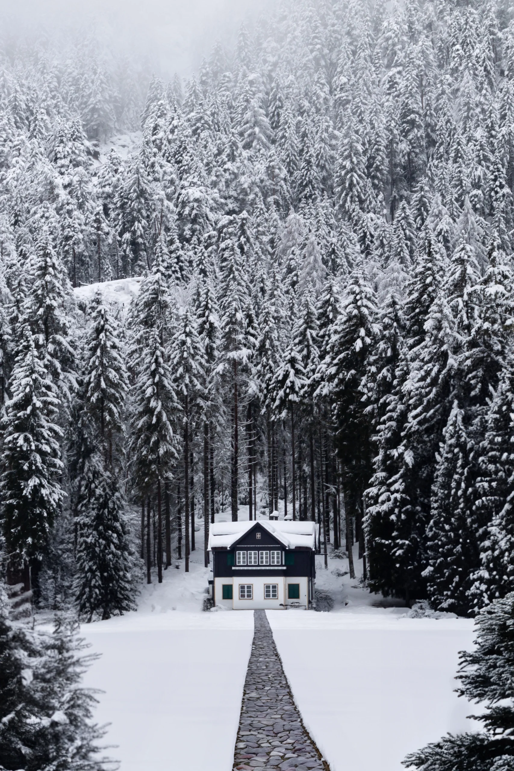 Black home in the forest with heated walkway